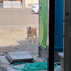肉の小林