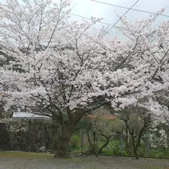 大寧寺