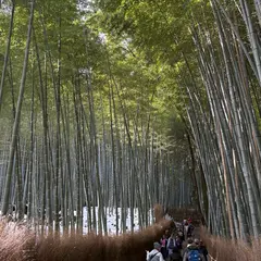嵐山 竹林の小径