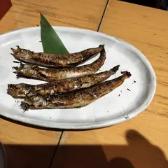 酒洛