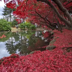 旧南部氏別邸庭園