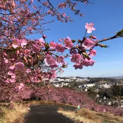 大塚牧場