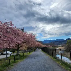 小田野中央公園