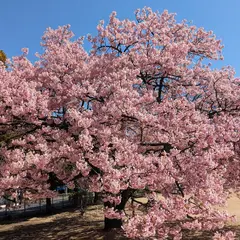 市之坪公園