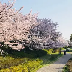 丸山公園