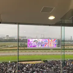 阪神競馬場 駐車場
