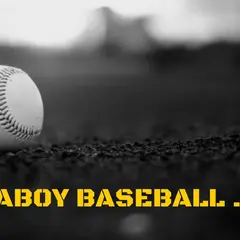 アラボーイベースボール Coach.Yuji Nerei AttaBoy Baseball 『根鈴道場』