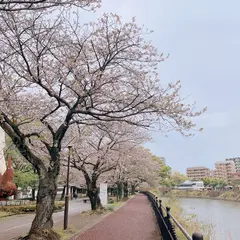 甲突川左岸緑地
