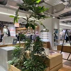JINS LINKS UMEDA店