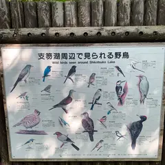 野鳥の森