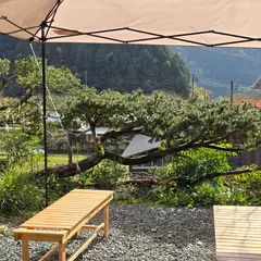 カミツレ