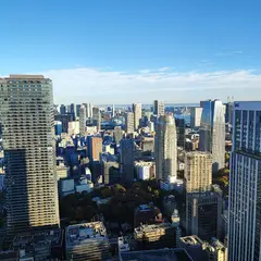 ホテルオークラ東京 囲碁サロン
