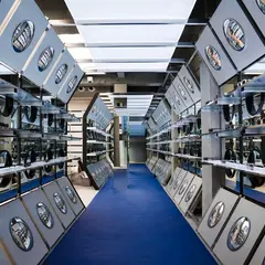 블루엘리펀트 명동 플래그십스토어 BLUEELEPHANT MYEONGDONG FLAGSHIP STORE