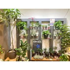 KIKKAen菊花園