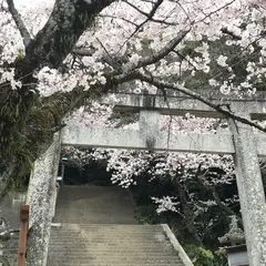 忌部神社参道