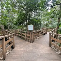 千石緑地
