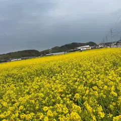 福岡県馬術競技場