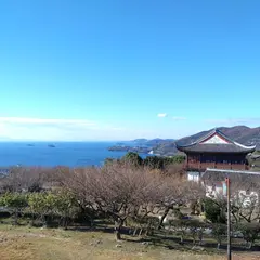 世界の梅公園展望台