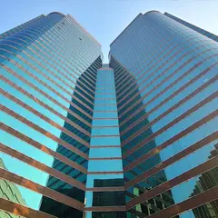 シタディーン 香港 アシュリー