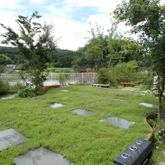 見晴らしの丘