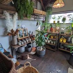 haco「Green shop & Little cafe」