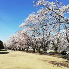 稲荷山公園