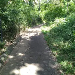 椎の森公園