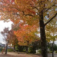 矢崎公園