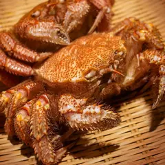 赤坂四季庵 よう悦