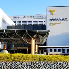愛媛大学