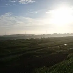しばやま整形外科