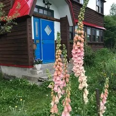 木のうた