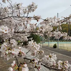 いこいの郷・琴平町