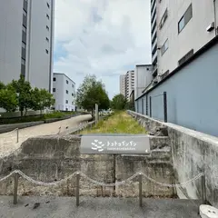 トコトコダンダン