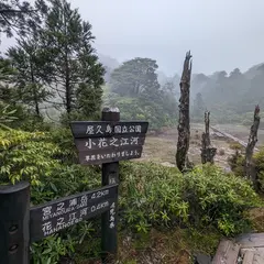 花之江河