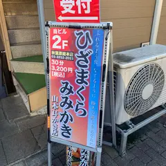 山本耳かき店 秋葉原総本店