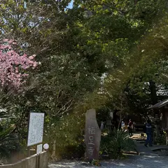 栖足寺