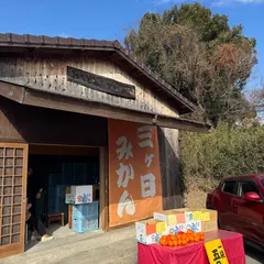 おやじのみかん小屋