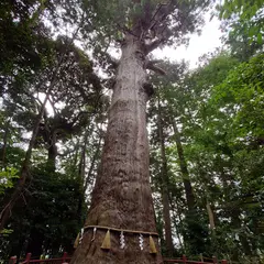 麻賀多神社の森(県指定天然記念物)
