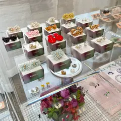 タマス青山店