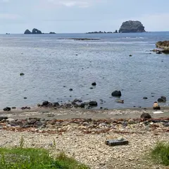 荒崎