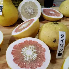 文旦屋・白木果樹園