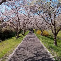 宮ノ森公園