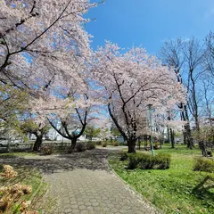 白石公園