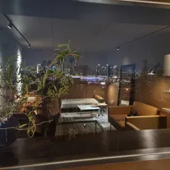 마하 한남