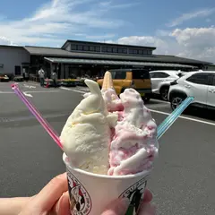 小田原牧場アイス工房朝ドレ店