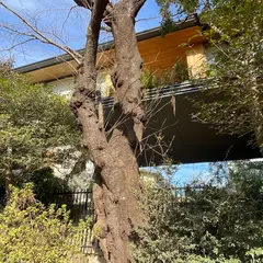 香kaguwashi