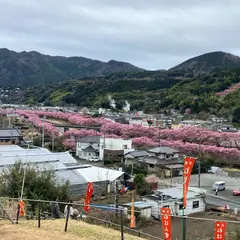 涅槃堂桜見晴台