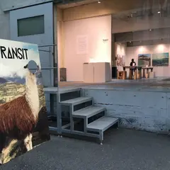 BOOTLEG gallery