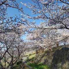 大丸山公園